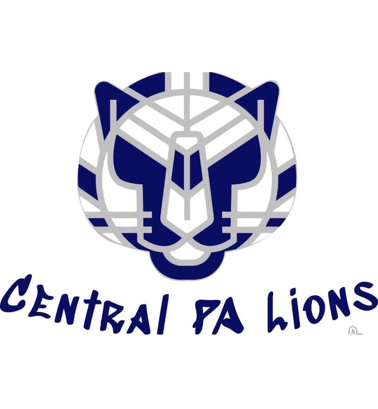 Lions highlight 2